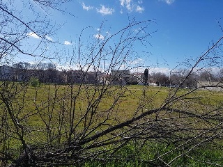 SAN ISIDRO 8