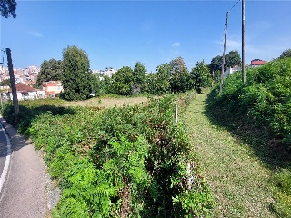 PONTILLON (POLIGONO 74. PARCELA 176) 3
