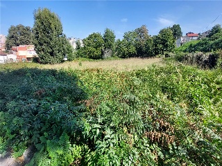 PONTILLON (POLIGONO 74. PARCELA 176) 5