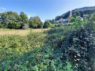 PONTILLON (POLIGONO 74. PARCELA 176) 6