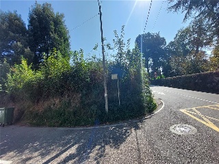 PONTILLON (POLIGONO 74. PARCELA 176) 7