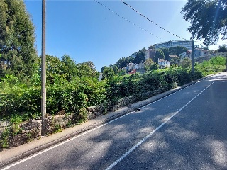 PONTILLON (POLIGONO 74. PARCELA 176) 9