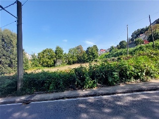 PONTILLON (POLIGONO 74. PARCELA 176) 11