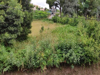 PONTILLON (POLIGONO 74. PARCELA 176) 17