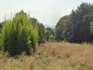 SOUTO SAN PEDRO 2
