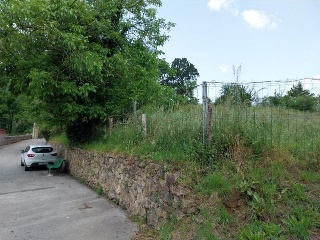 EL CAÑADO 5