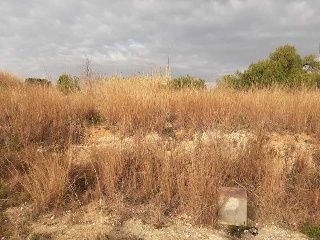 CL SUZR-5-E 1(M) FINCA M.01 UE SUZR-5 3