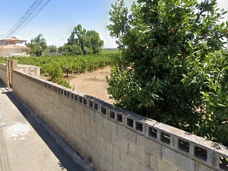 LES PALMERES, B 2