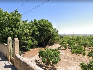 LES PALMERES, B 3