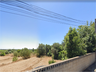 LES PALMERES, B 4
