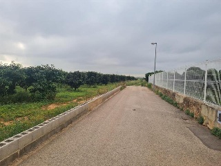 LES PALMERES, B 6