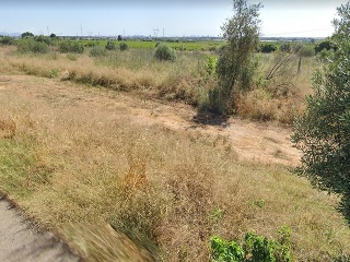 LES PALMERES, B 10