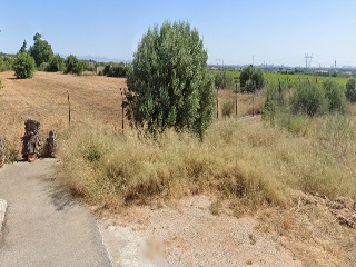 LES PALMERES, B 11