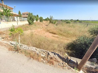 LES PALMERES, B 12