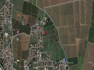 LES PALMERES, B 19