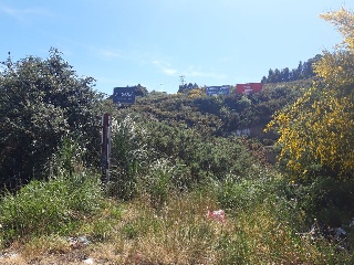 CTRA. BAÑOS, N.S/N, P.SP 8