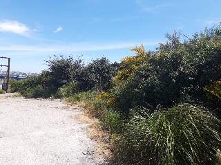 CTRA. BAÑOS, N.S/N, P.SP 10