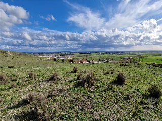 LOS BORRICALES, SECTOR Nº11, POLÍGONO, 3 2