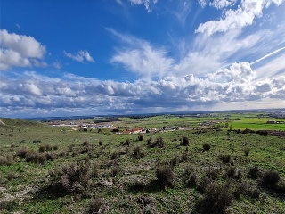 LOS BORRICALES, SECTOR Nº11, POLÍGONO, 3 3