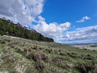 LOS BORRICALES, SECTOR Nº11, POLÍGONO, 3 4