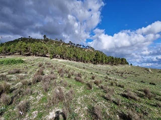 LOS BORRICALES, SECTOR Nº11, POLÍGONO, 3 5