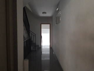 SAN FERNANDO 8