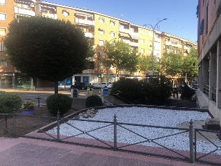 PALMA 6