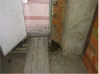 ARGAÑOSA 6