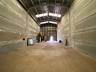 PLA DE MUSEROS 11