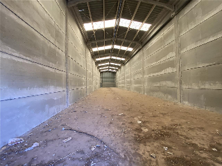 PLA DE MUSEROS 3