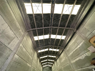 PLA DE MUSEROS 6