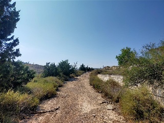 PARTIDA CABEZO DE LAS MINAS 2