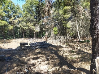 PARTIDA CABEZO DE LAS MINAS 12