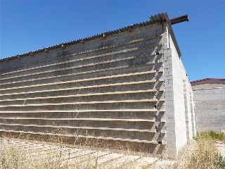 PARTIDA CABEZO DE LAS MINAS 17