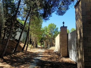 PARTIDA CABEZO DE LAS MINAS 19