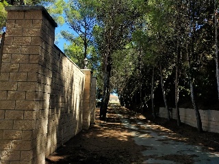 PARTIDA CABEZO DE LAS MINAS 21