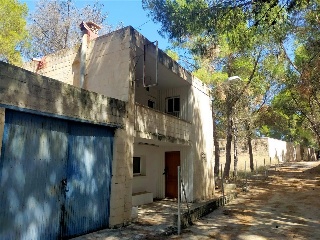 PARTIDA CABEZO DE LAS MINAS 22