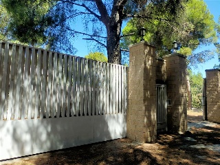PARTIDA CABEZO DE LAS MINAS 23