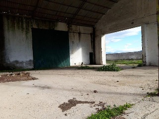PLASENCIA 12