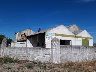 PLASENCIA 16