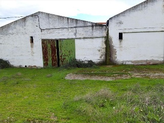 PLASENCIA 24