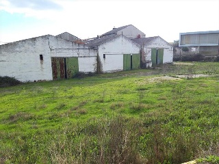 PLASENCIA 28