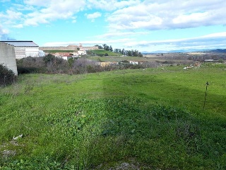 PLASENCIA 29