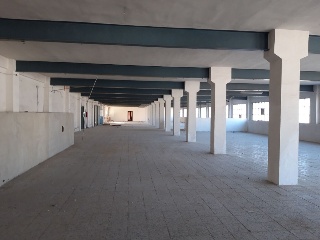 GABRIEL MIRO 4
