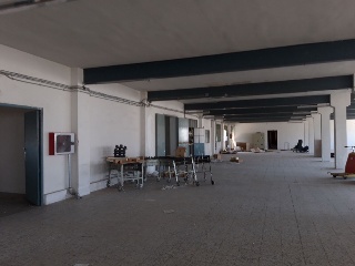 GABRIEL MIRO 6