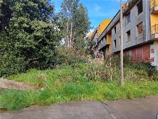 CUBELIÑO 20 N2-24 Polígono 8 Parcela 445 6