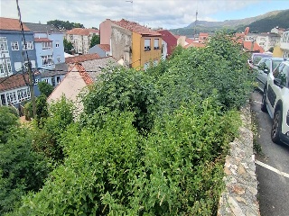 CRUCEIRO 5