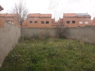 CRISTOS 25