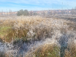 PP 13 BARTOLO 13
