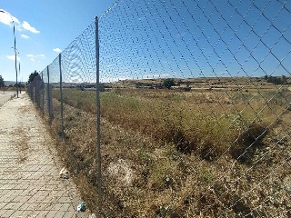 PP 13 BARTOLO 2